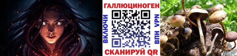 KRAKEN как войти Болхов Псилоцибиновые грибы прущие грибы